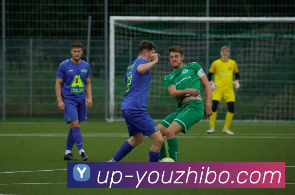 优直播服务体系